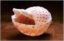 ����� ��������� � ���� �����