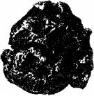 ����� � �������