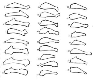 13 Всероссийская нумизматическая конференция
