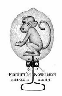 ��������� ���������� � ��������� ��������� ��������� ���� (�) � ������������ ���� (�)