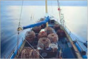 ������ �. - ������� ���� ������� � �������