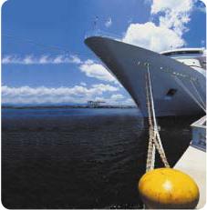 ������ �. - 101 ������