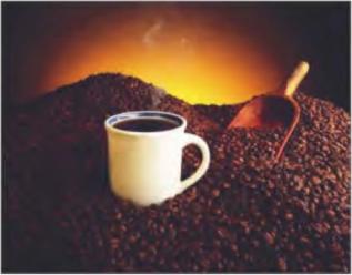 ������ �. - �������� ���� ���� �� ������