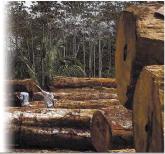 ������� �. - ������ �������� ������������������