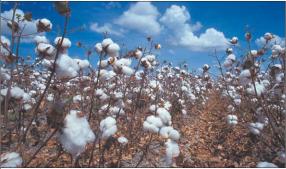 ����������� ����� ����������� ������������