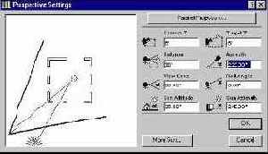 Perspective Settings