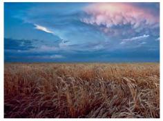 ��������� �. - �������������� ���������� �� �����