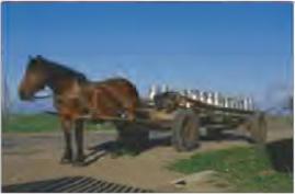 ������������� ���... �����