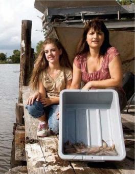 ������� �. - �������� �������