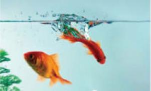 Слесарук С. - Вкладываем в Фонды денежного рынка