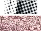 ��������������� ������