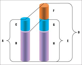 ������ �. - �������� ����� ����������� �����