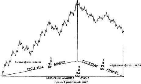 �������� ��������� ������ ���� �������