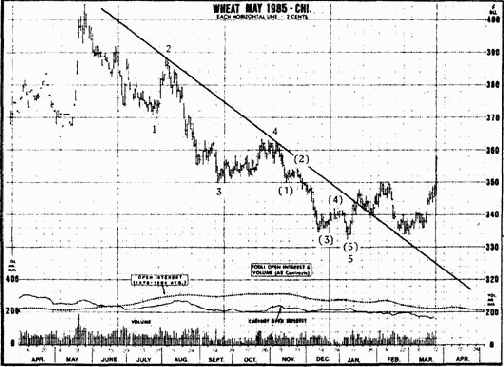 ������� ������������� ���������� ������ ���� �������