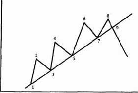 ��� ������������ ������ ������