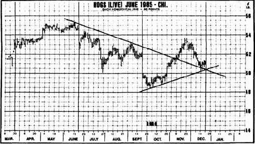 ����� ������ �������� ������