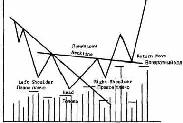 ������������ ������ 