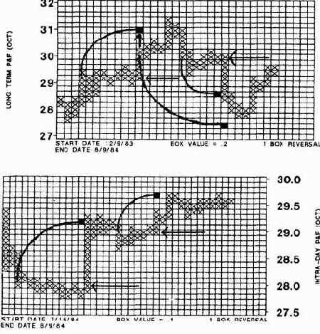 ������ ����� ������� �������� ��� 