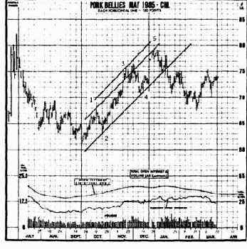 ������� ������������� ���������� ������ ���� �������