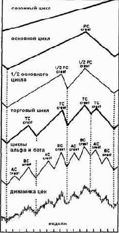 ������������� ������