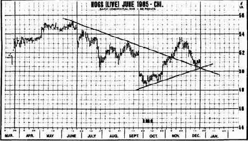 ����� ����� ���������� ����� 