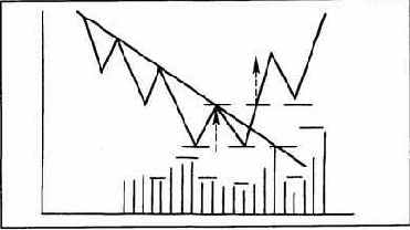 ������ �������� ���������. ��� 