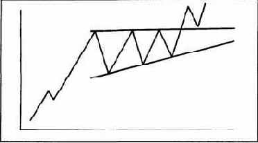 ������ ����������� ������������. �������� 