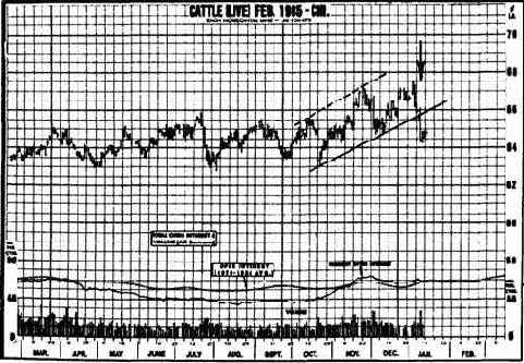 � ������� �� ������ ������������, 