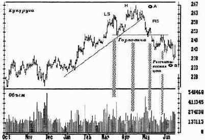 ������� � ���� 