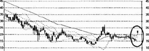 �������������