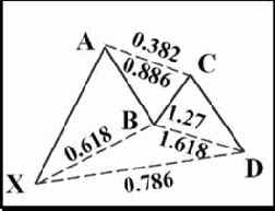 ������ ������� (�������)