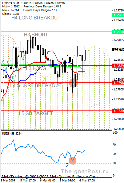 ������ ������