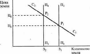 ���� ����� 