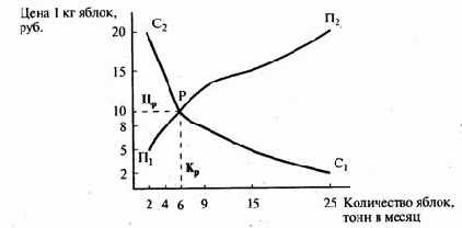 ����������� ���� 