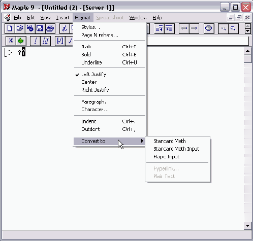���������� ���� Format