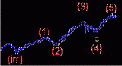 �������: (IM)