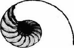 Вы можете наблюдать любопытную эволюцию