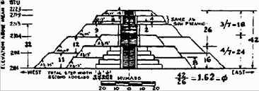 Отношения Фибоначчи в природе