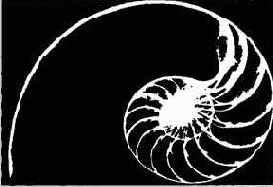 Частное от деления длины на