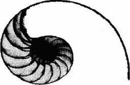 ������ ���������, ������ ����� ����������: