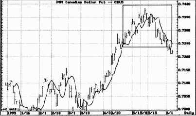 ������ ������ ��������� ���������� ������� ����� ����������