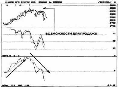 ������������� ����������