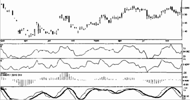 Используемые в анализе порядки показателей