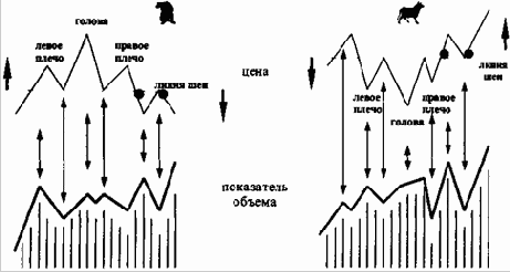 ������������ ������ ������������ �������: