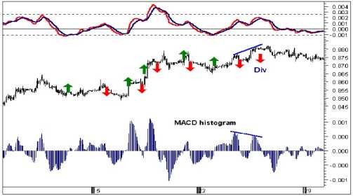 ������� �. - ������� ���������� �� ������������ �������