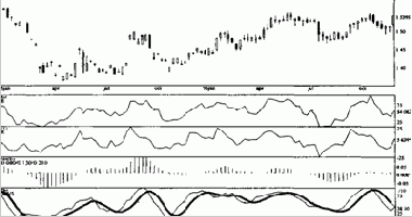 ������ ������������ �� �������� ������� 