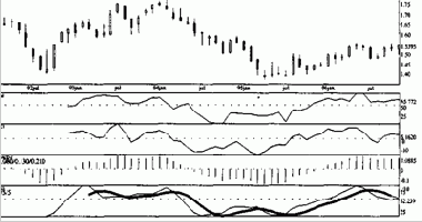 ����� ��������� ����������� ������� ������� 