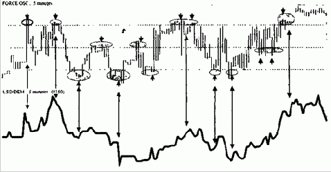 ���� ����