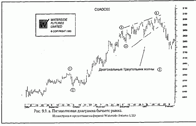 ����� ����