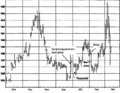 ���� ����������, ���� 1995 �������� �������